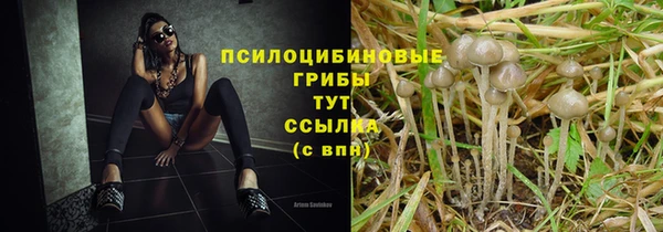 хмурый Михайлов
